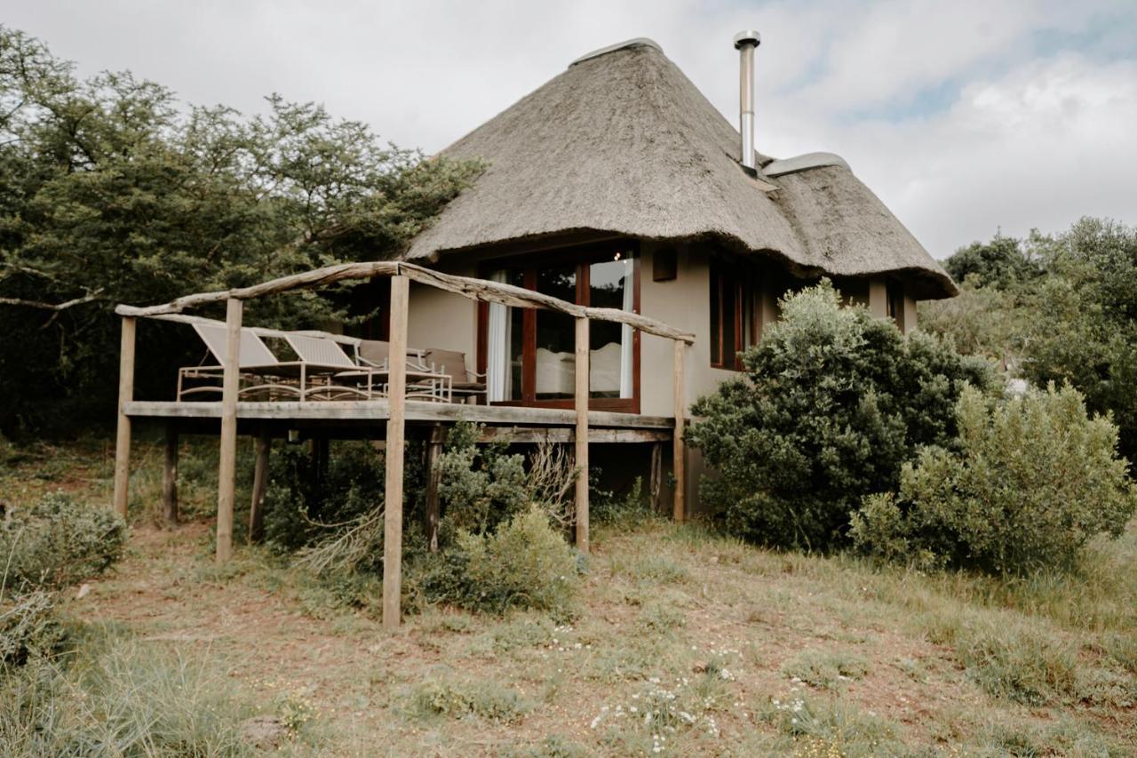 Bukela Game Lodge - Amakhala Game Reserve Exterior foto